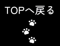 TOPへ戻る