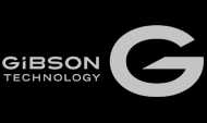 Gibson_grey_