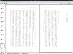 図1　スキャンした元ページの表示