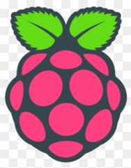 raspberry pi
