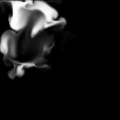 fluid