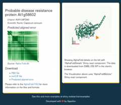 AlphaFold with details