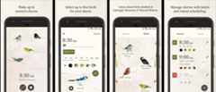 Dawn Chorus Screenshots
