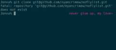 zsh showing the text 'never give up, my love' in the right prompt after running a command that has failed