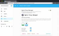 The Nginx Proxy Manager Hass.io add-on