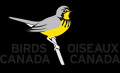 Birds Canada Logo showing grey text 'Birds Canada' and 'Oiseaux Canada' on either side of a grey and yellow bird perched on a branch