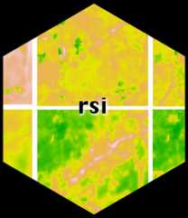 rsi website