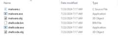 shellcoder.py output files
