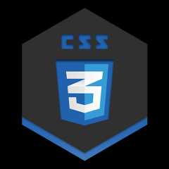 css3