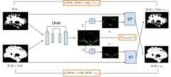 CortexMorph architecture