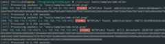 alt credslayer_output_example