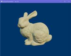 Bunny result