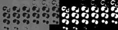 RandomScale3D