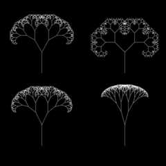 Fractal Trees