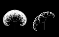 Abnormal Fractal Trees