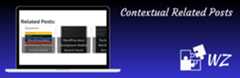 WordPress Plugin Version