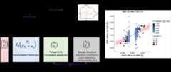 The MR-APSS approach