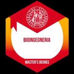 Badge from the university of padova for the master's degree