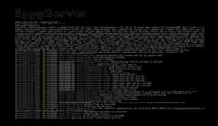 server