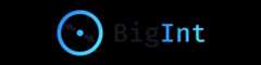 BigInt