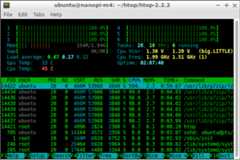 Htop screenshot