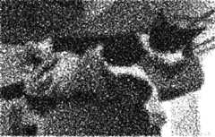 stylized image of cat