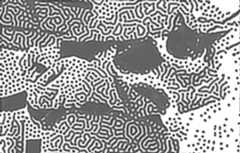 stylized image of cat
