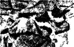 stylized image of cat
