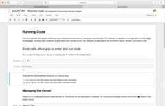 Jupyter notebook example