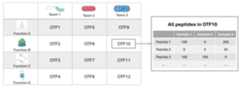 OTF_Structure