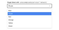 Color Highlighted Selected Option