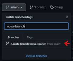nova branch