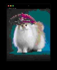 running `imgcat cat.jpg`