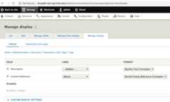 Tags Entity Restful formatter