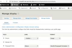 User Entity Restful formatter