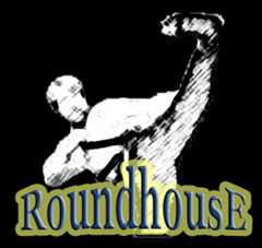 RoundhousE - Professional Database Management