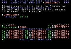 Division by zero sample