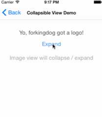 view demo