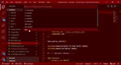 Configuring the project in VSCode