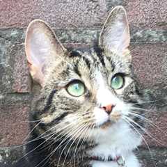 Our willing test subject