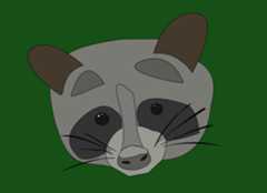 Raccoon Logo