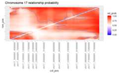 BLCA, chromosome 17, probdist