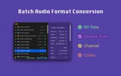 Audioer 2