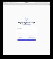 Login View