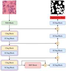 CompSegNet Architecture