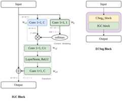 IGC and ECSeg Blocks