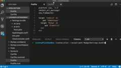 Demo