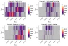 Heatmaps of focal species detections by date at a monitoring location. The x axis shows date, the y axis shows year, and daily detection value is visualized from low (purple) to high (yellow).