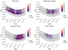 Heatmaps of detections of focal species at a monitoring location. The x axis shows date, the y axis shows time of day, and daily detection value is visualized from low (purple) to high (yellow).
