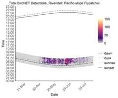 Heatmap of detections of Pacific-slope Flycatcher at a monitoring location. The x axis shows date, the y axis shows time of day, and daily detection value is visualized from low (purple) to high (yellow).